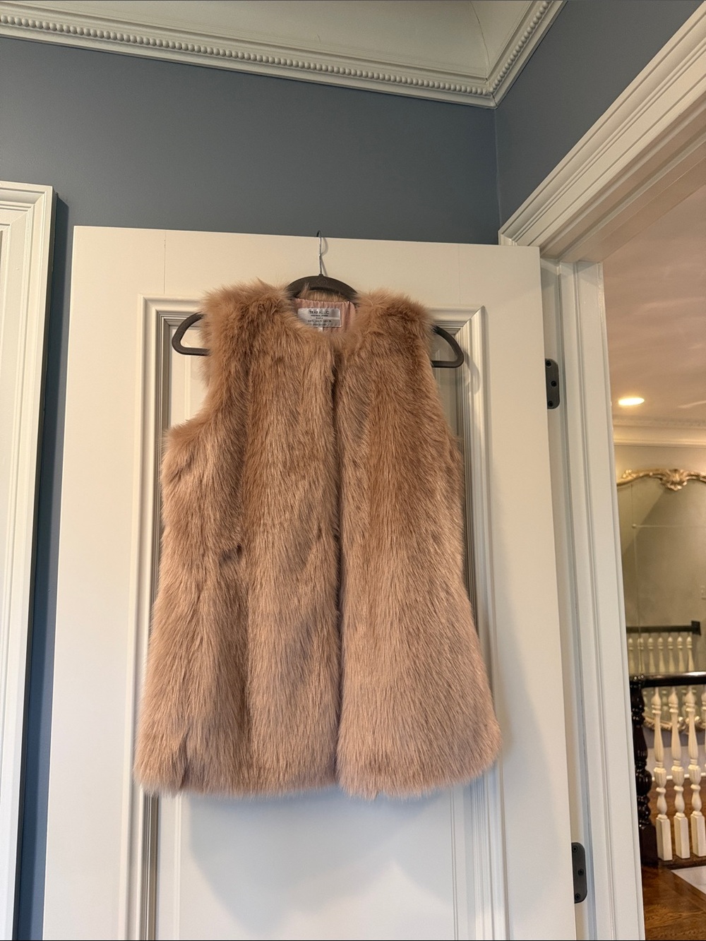 Zara Faux Fur Vest in Camel